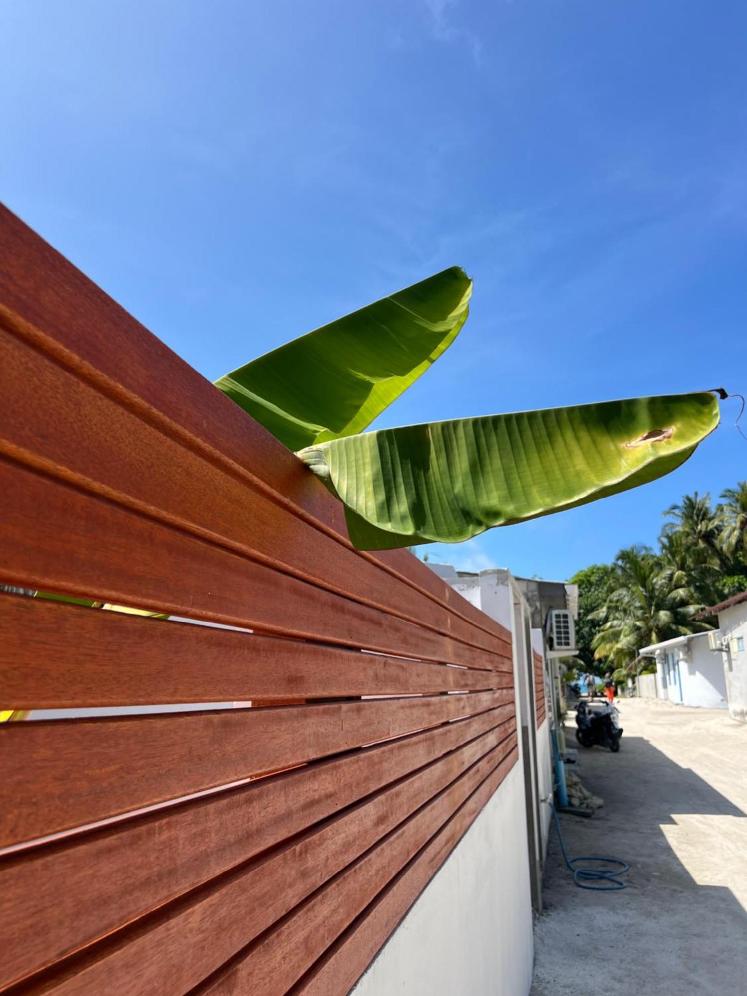Hotel The Wave Dhigurah Dhigurah  Exterior foto
